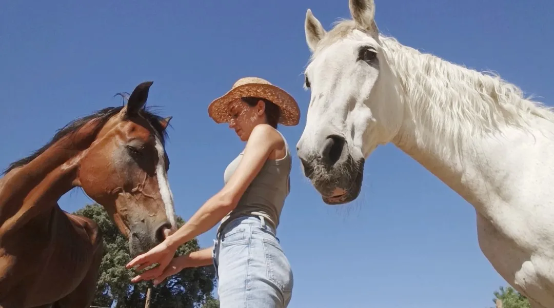 Interacción consciente con caballos